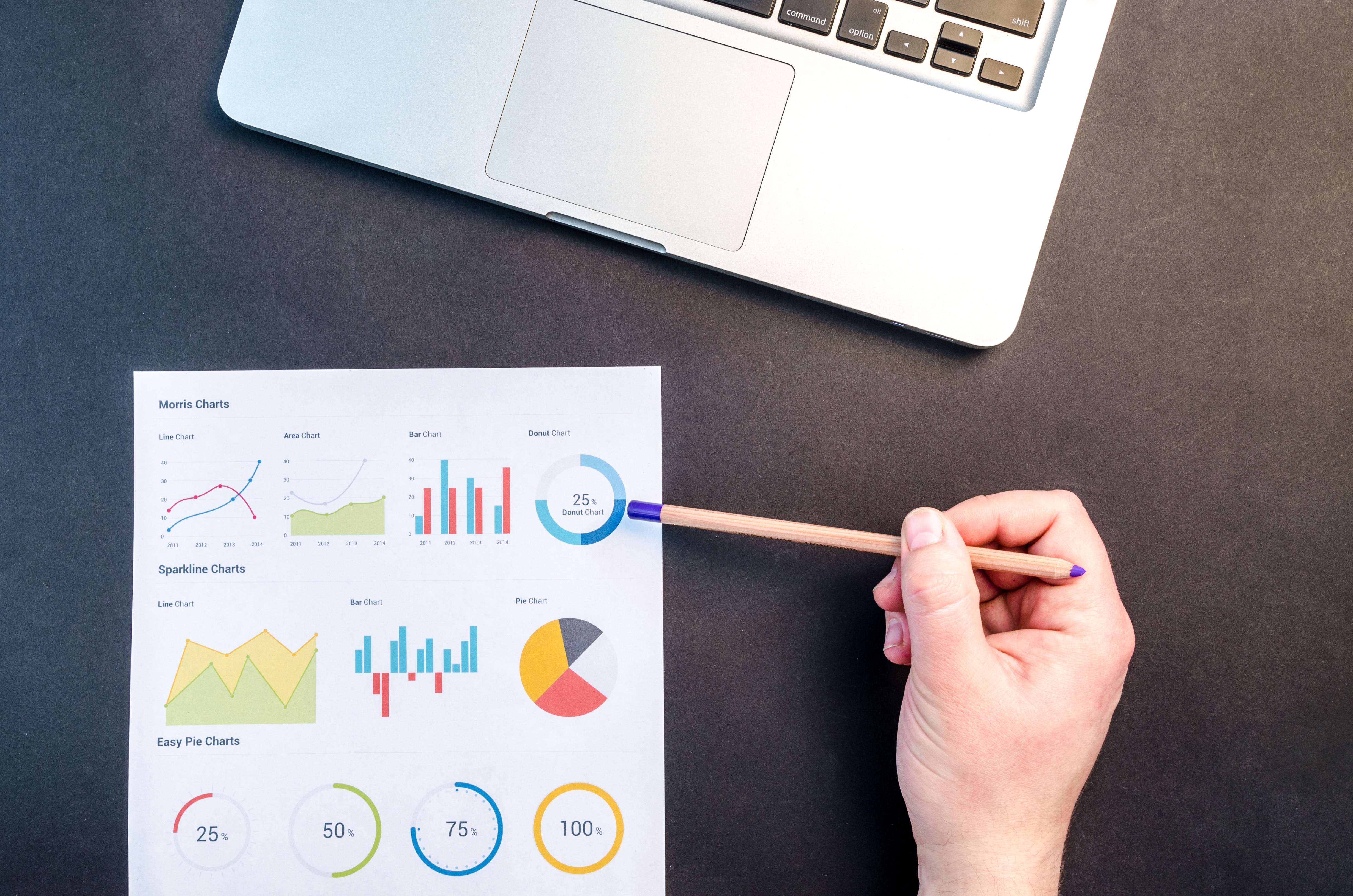 Understanding the Data Maturity Model